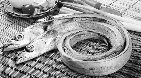 甲醛带鱼流入市场 甲醛带鱼流入市场