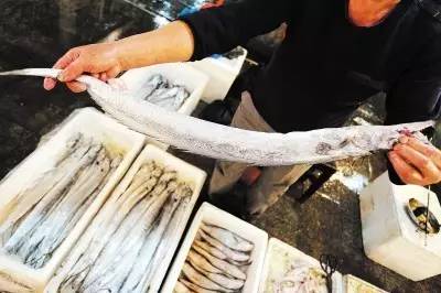 甲醛带鱼流入市场4 甲醛带鱼流入市场4