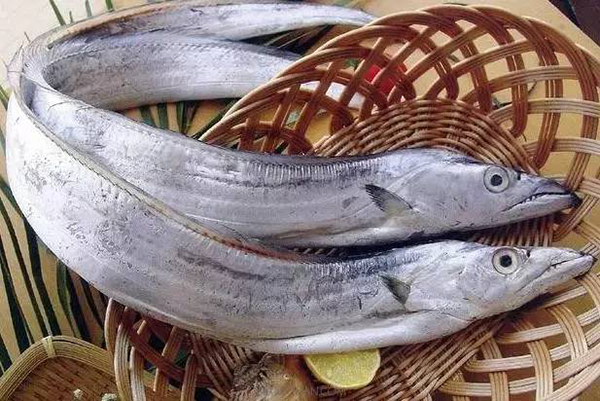 甲醛带鱼流入市场5 甲醛带鱼流入市场5